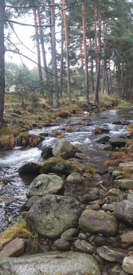 Casa Rural Los 7 Pinos De Gredos نافاريدوندا دي غريدوس المظهر الخارجي الصورة